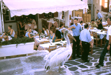 taverne mykonos